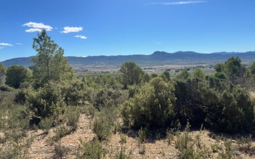 T 433 SA Venta de terreno sin agua en Benejama