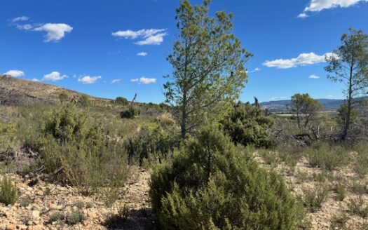 T 433 SA Venta de terreno sin agua en Benejama