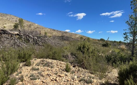 T 433 SA Venta de terreno sin agua en Benejama