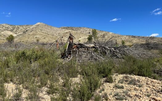 T 433 SA Venta de terreno sin agua en Benejama