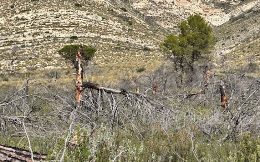 T 433 SA Venta de terreno sin agua en Benejama