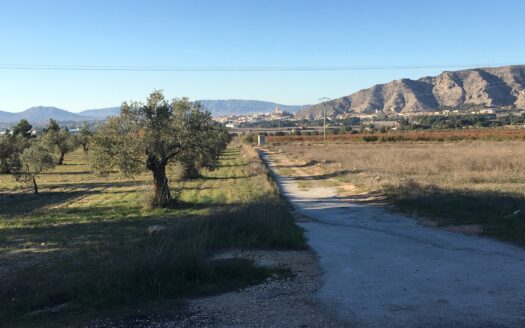 T 247 Terreno en venta en Peña Rubia