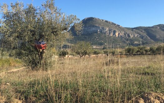 T 247 Terreno en venta en Peña Rubia