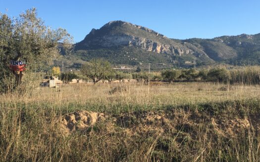 T 247 Terreno en venta en Peña Rubia