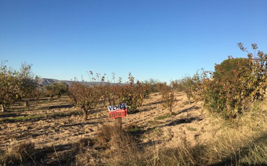 T 247 Terreno en venta en Peña Rubia