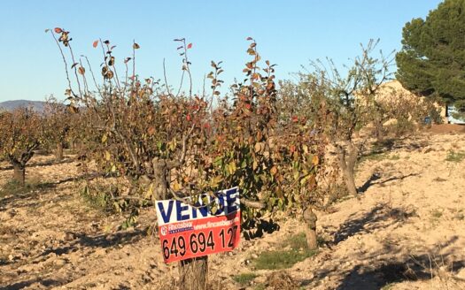 T 247 Terreno en venta en Peña Rubia