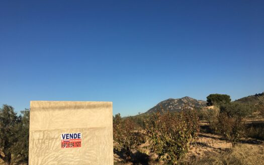 T 247 Terreno en venta en Peña Rubia