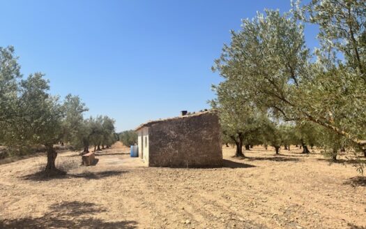 CT 310 Terreno en venta con casita ampliable hasta 200 m2 de construccion