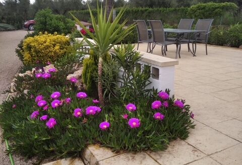 CHALET 165 EN BIAR CON PISCINA Y OLIVAR Y MAS FRUTALES EN PRODUCCION