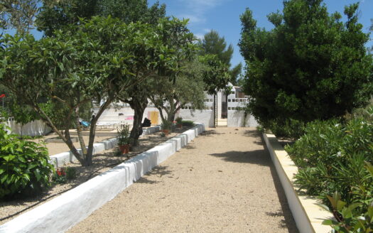 CHALET 165 EN BIAR CON PISCINA Y OLIVAR Y MAS FRUTALES EN PRODUCCION