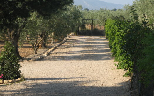 CHALET 165 EN BIAR CON PISCINA Y OLIVAR Y MAS FRUTALES EN PRODUCCION