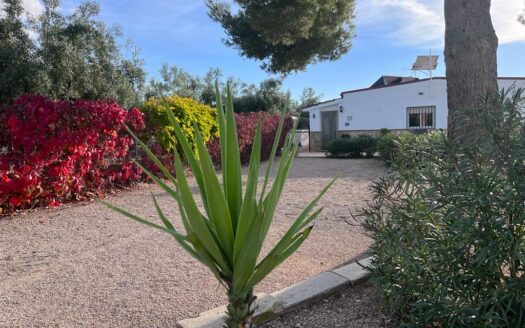 CHALET 165 EN BIAR CON PISCINA Y OLIVAR Y MAS FRUTALES EN PRODUCCION