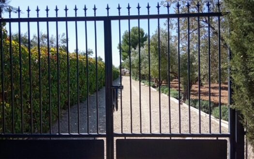 CHALET 165 EN BIAR CON PISCINA Y OLIVAR Y MAS FRUTALES EN PRODUCCION