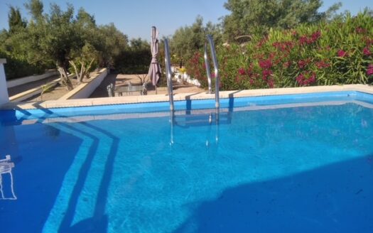 CHALET 165 EN BIAR CON PISCINA Y OLIVAR Y MAS FRUTALES EN PRODUCCION