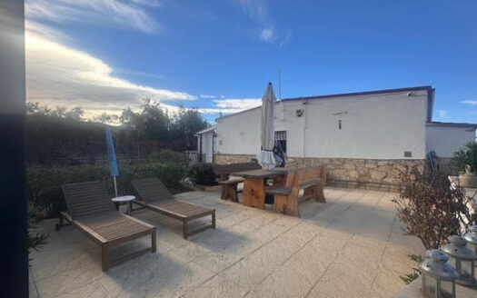 CHALET 165 EN BIAR CON PISCINA Y OLIVAR Y MAS FRUTALES EN PRODUCCION