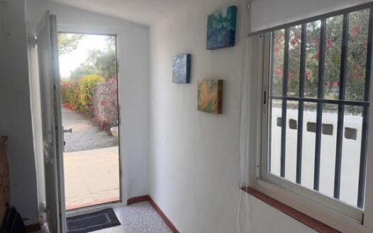 CHALET 165 EN BIAR CON PISCINA Y OLIVAR Y MAS FRUTALES EN PRODUCCION