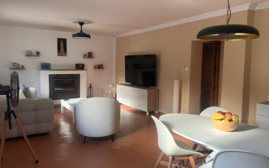 CHALET 165 EN BIAR CON PISCINA Y OLIVAR Y MAS FRUTALES EN PRODUCCION