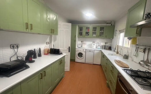 CHALET 165 EN BIAR CON PISCINA Y OLIVAR Y MAS FRUTALES EN PRODUCCION