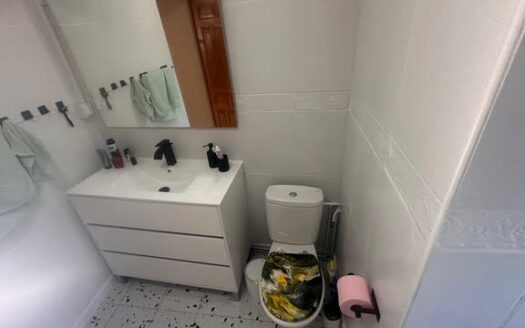 CHALET 165 EN BIAR CON PISCINA Y OLIVAR Y MAS FRUTALES EN PRODUCCION