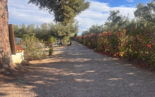 CHALET 165 EN BIAR CON PISCINA Y OLIVAR Y MAS FRUTALES EN PRODUCCION