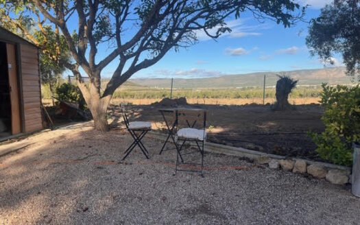 CHALET 165 EN BIAR CON PISCINA Y OLIVAR Y MAS FRUTALES EN PRODUCCION