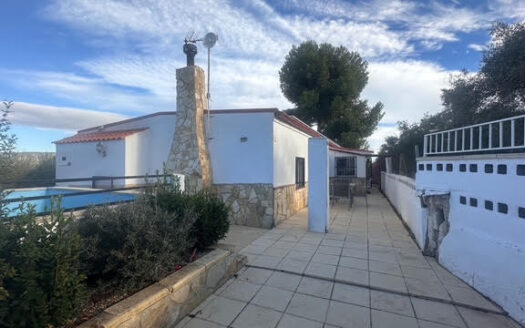 CHALET 165 EN BIAR CON PISCINA Y OLIVAR Y MAS FRUTALES EN PRODUCCION