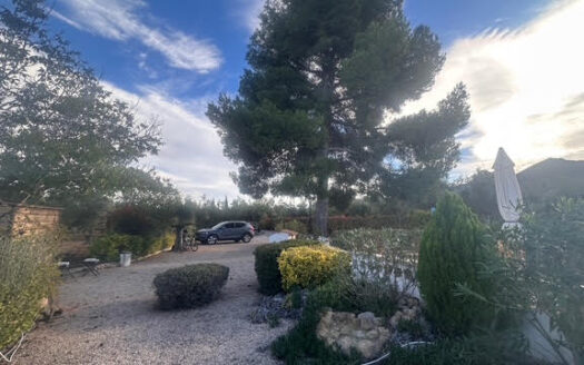 CHALET 165 EN BIAR CON PISCINA Y OLIVAR Y MAS FRUTALES EN PRODUCCION