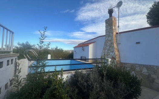 CHALET 165 EN BIAR CON PISCINA Y OLIVAR Y MAS FRUTALES EN PRODUCCION