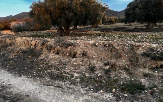 T 384 Se vende terreno en Biar (Alicante)