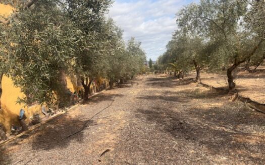 Chalet 008 Se vende inmueble en Ibi (Alicante)