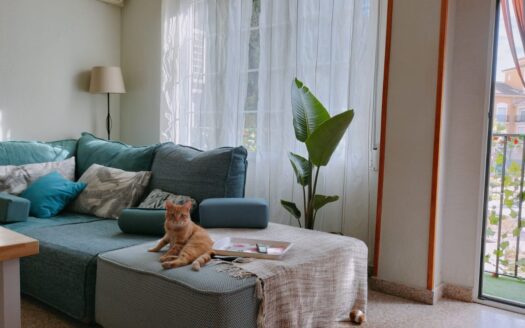 P 371 Se vende Piso en Villena (Alicante)