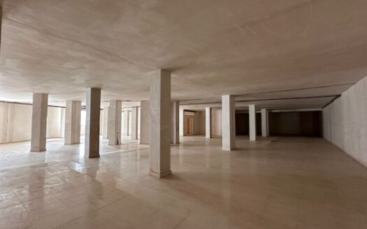 Local 115 en Biar de 197m2