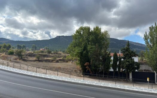 Local 115 en Biar de 197m2